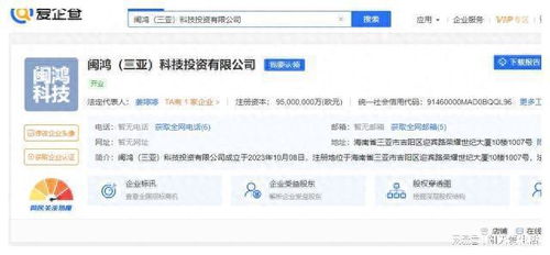 海南三亞出現(xiàn)4家空前巨額投資公司,注冊資本都是9500億歐元