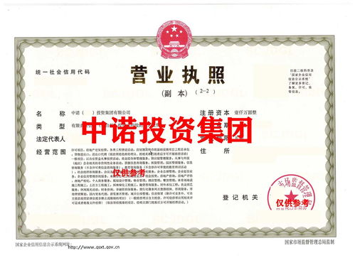 海南投資集團(tuán)特批字號 轉(zhuǎn)讓